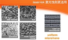美國(guó)百好瑞biohorizons種植體	