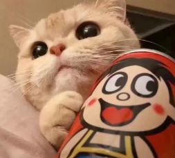 風車