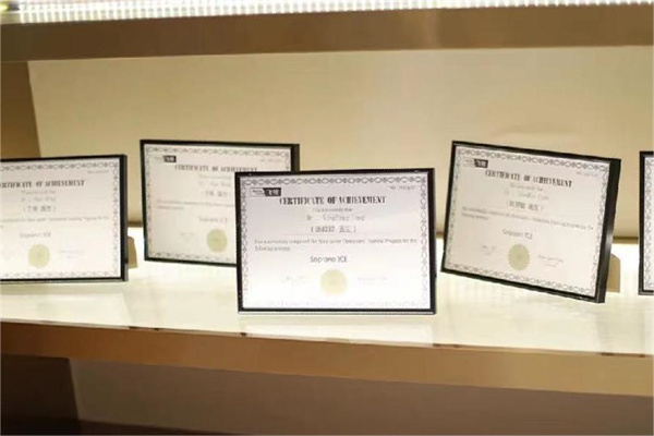 南京美萊醫(yī)療美容醫(yī)院榮譽