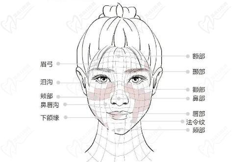 蔡躍波醫(yī)生擅長面部輪廓注射重塑